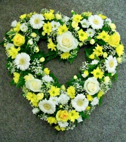 YELLOW AND WHITE OPEN HEART